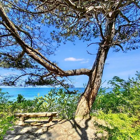 Strandnahe Ferienwohnung Ruegen ドランスケ エクステリア 写真