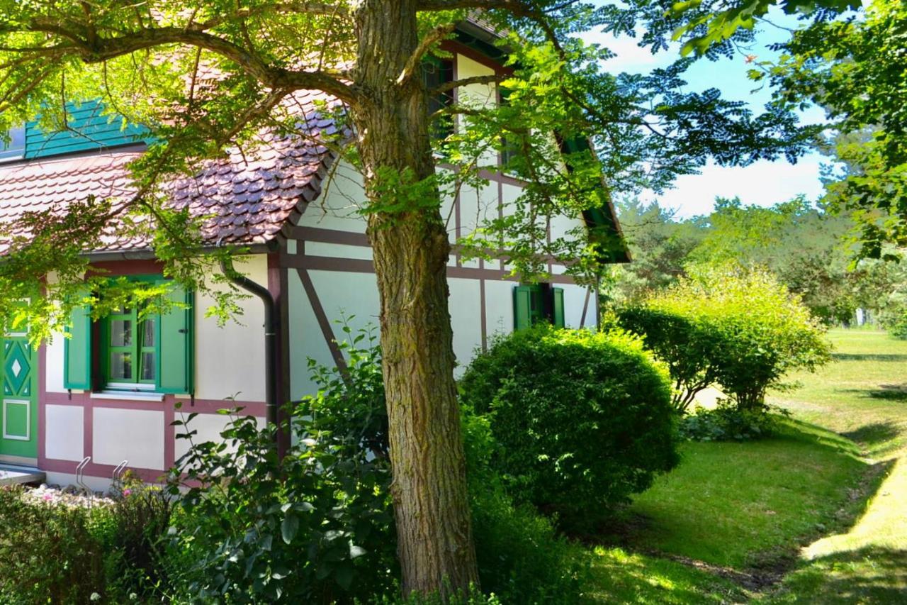 Strandnahe Ferienwohnung Ruegen ドランスケ エクステリア 写真