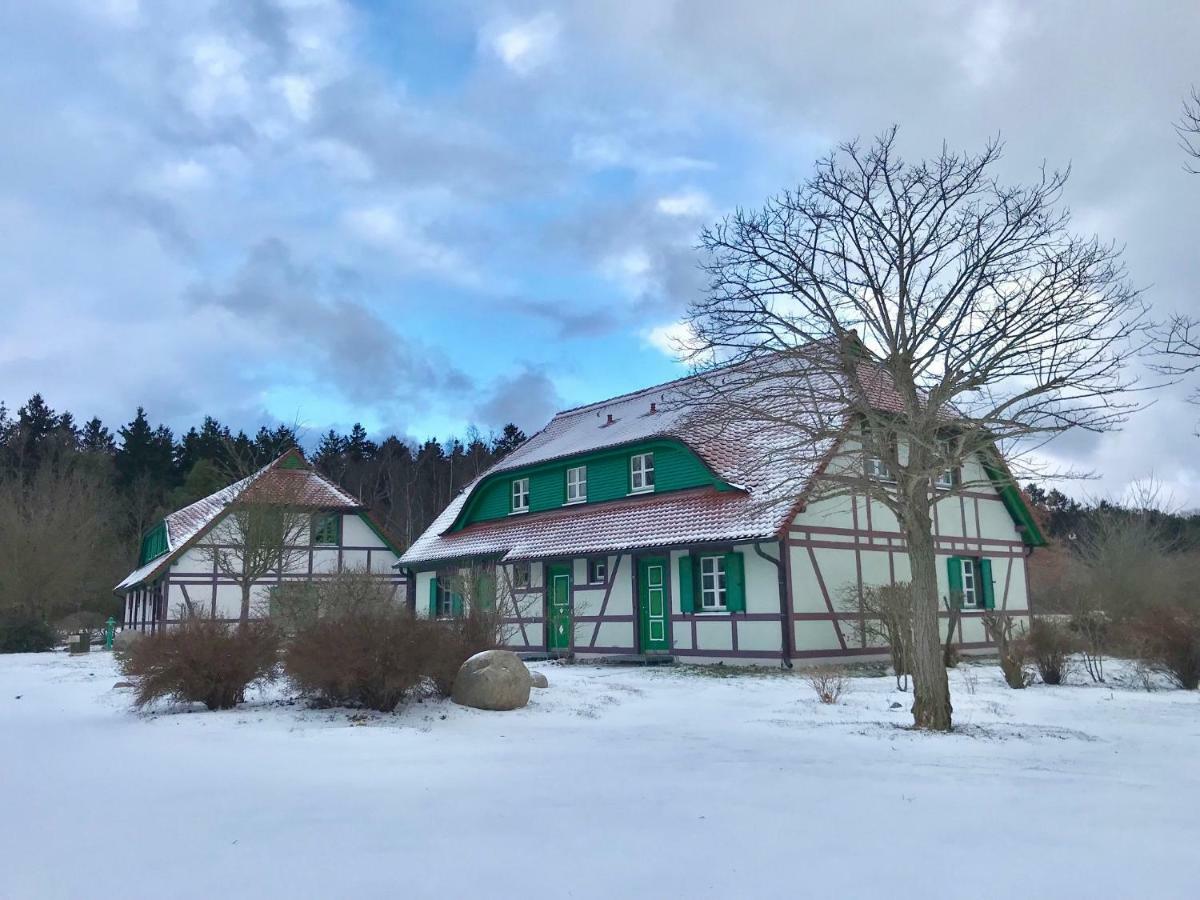 Strandnahe Ferienwohnung Ruegen ドランスケ エクステリア 写真