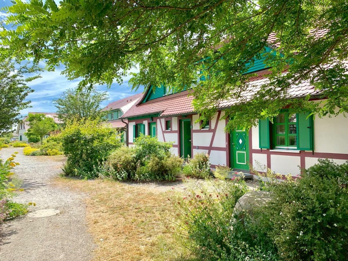Strandnahe Ferienwohnung Ruegen ドランスケ エクステリア 写真